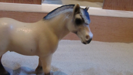 Dit is Kowalski. Het is een leuke fjord. Ook hij heeft soms wat aanpak nodig, want braaf is hij niet echt. Hij heeft een hard van goud, en is met de omgang een schat